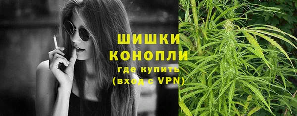 хмурый Бронницы